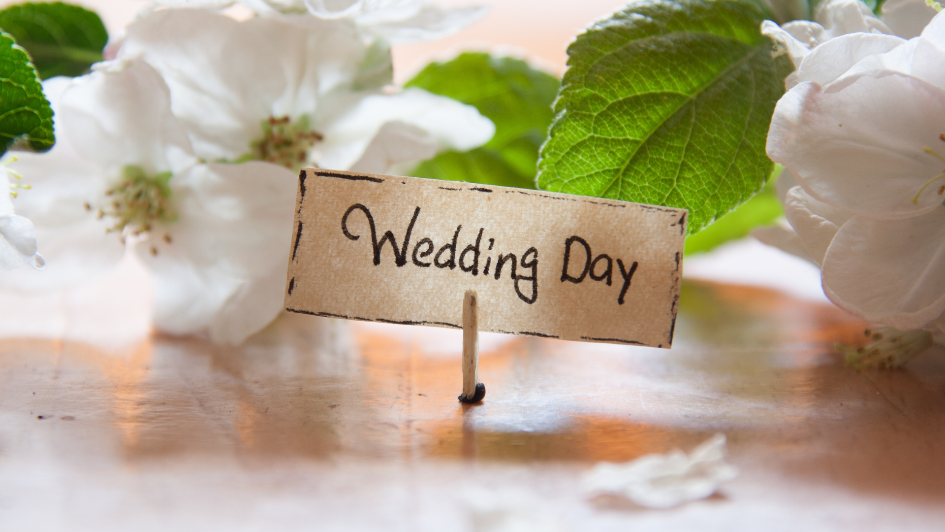wedding planning wedding ceremony wedding malaysia wedding guest list 